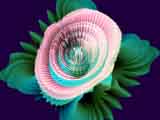 "" - Wallpaper No.63.  Click for 640x480 or select another size.