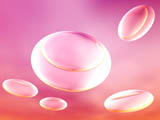 "" - Wallpaper No.144.  Click for 640x480 or select another size.